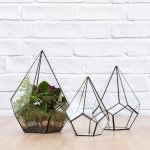 Terrarium - Pentagon - Medium Excl. Plants