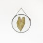 Velt Botanical Frame - Caladium - 20CM X 20CM Round