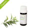 Escentia Organic Eucalyptus Smithii Pure Essential Oil - 10ML
