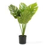 Potted Monster Faux Plant 70CM