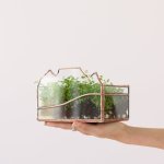 Terrarium - Table Mountain - Small Excl. Plants