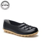 Cygnini Black - 9