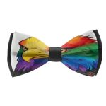 Seslflkpjk Men's Lgbt Eagle Pride Pre-tied Butterfly Bow Ties For Wedding School Uniform Halloween Paisley Bow Ties