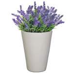 Planted Iris Sun - Lavender Pistachio