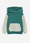 Hoodie - Green
