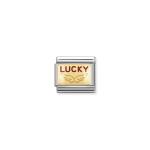 Classic Lucky Enamel Angel Wings Link