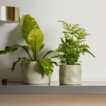Shaped Planter Organic Dusty Green - Medium 18.2X14.5CM