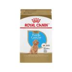 ROYAL CANIN Poodle Puppy - 3KG