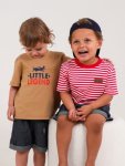 Cute Little Legends Boys Tees Mulitpack By Hoolies To 7YRS
