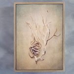 Gifts Of The Sea 2 Art Print - A2 Framed Canvas With Natural Wood Frame