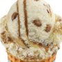 Pralines & Cream Concentrate - 10ML