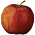 Extra Large Starking Apple