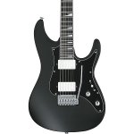 Ibanez BER10 Bernth Signature Electric Guitar – Matte Black