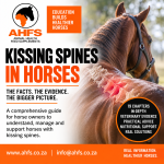 Kissing Spines In Horses: Understanding Treatment Rehabilitation & Long-term Management – Ahfs Educational Ebook