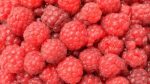 Fresh Organic Raspberries 125G