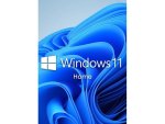 Microsoft Windows 11 Home Oem Esd License For 1 User On 1 PC