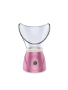 Professional Facial Steamer