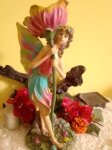 Large Fairy L61