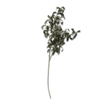 @home Faux Olive Tree Branch 80CM