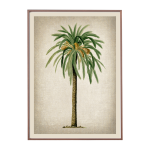 Date Palm Art Print - A3 420X297 Mm