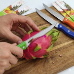 Stainless Steel Ultra Sharp Fruit Knife