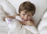 Baby Cot 95% Goose Down Duvet