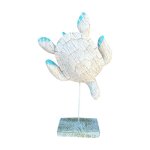 Blue Tip Beige Seaturtle