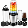 600W Stainless Steel Blender Grinder & Smoothie MAKERR-600ML