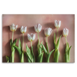 Watercolour Wash Tulips 6 - A3 No Frame Print Only