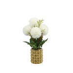 Chrysanthemum In Gold Pot 26CM - White