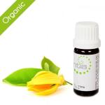 Escentia Organic Ylang Ylang Pure Essential Oil - 20ML