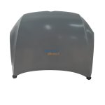 Vw Passat Bonnet 11+