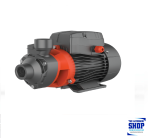 Peripheral Pump 0.37KW 230V With Controler- Leo Pump