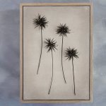 Art Forms In Nature 4 Art Print - A2 Framed Canvas With Natural Wood Frame