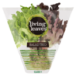 Living Leaves Salad Trio Pack