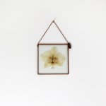 Velt Botanical Frame - Orchid - 12CM X 12CM Square