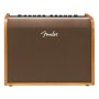 Fender Acoustic 100 Guitar Amp
