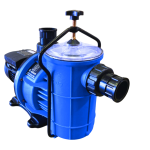 Pool Pump And Motor 1.1KW Eartheco Eq eque