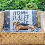 Finesse Pet Blanket - A Dog's Life Steel silver - 100 X 120 Cm