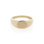 Oval Signet Ring In Yellow Gold - XL Polished