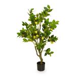 Lemon Tree