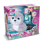 Silver Marine Mission