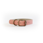 Straight Collar Rose - M l: 43-51CM