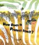 How Does It Protect Itself? - Camouflage   Paperback