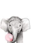 Bubble Gum Elephant Pink - Canvas Print - 600MM X 600MM