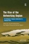 The Rise of the Networking Region - The Challenges of Regional Collaboration in a Globalized World Hardcover