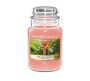 Yankee Candle The Last Paradise Large Jar Retail Box No