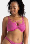 Curvy Tessa Wired Bra - Pink