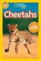 National Geographic Kids Readers: Cheetahs   Paperback