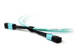 Acconet. Acconet 1M Mpo Fiber Optic Patch Cable 12-CORE OM3 Type B
